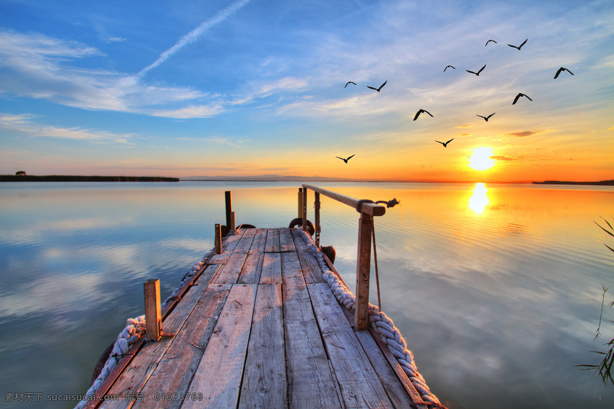 唯美夕阳大海 秦皇岛 自然 风景 风光 旅行 夕阳 落日 日落 黄昏 傍晚 植物 晚霞 唯美 清新 意境 蓝天 白云 大海 海边 海鸥 旅游摄影 国内旅游