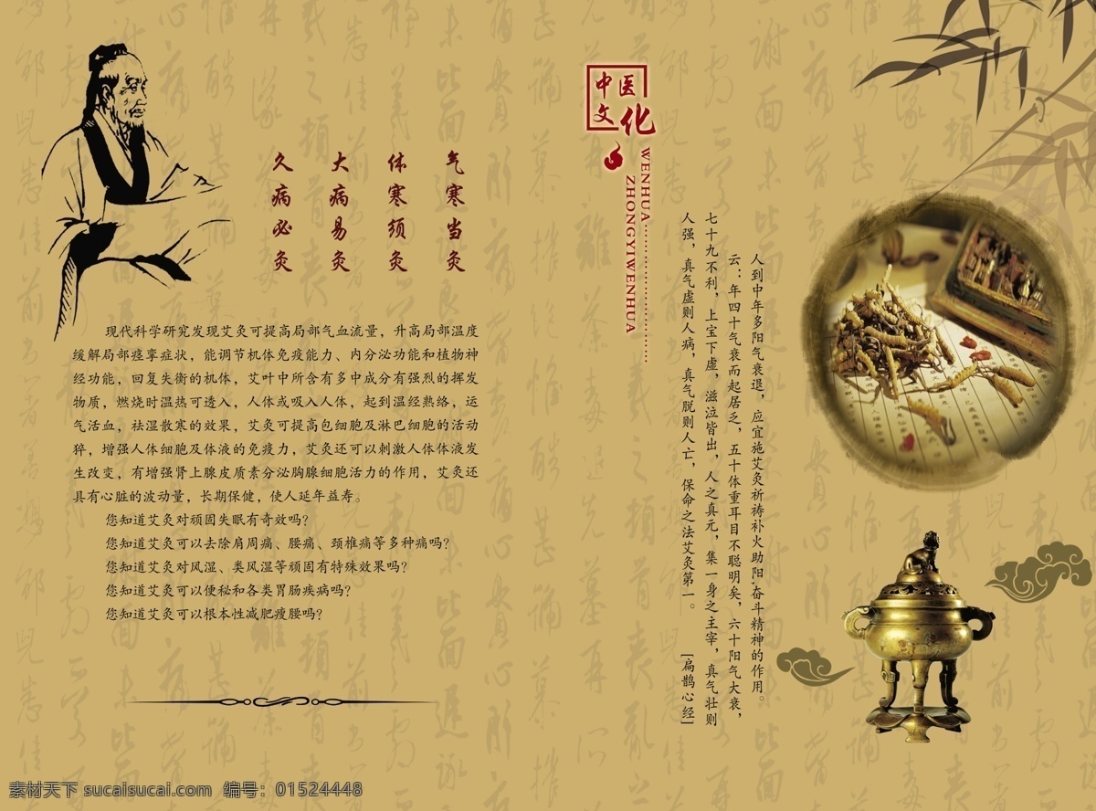 中医文化 宣传单 三折页 中医 中药 介绍 分层