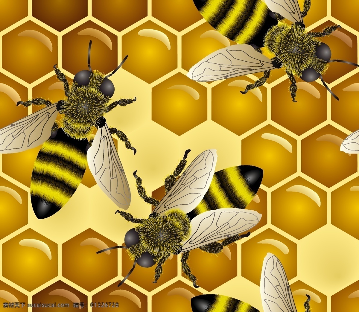 超 清晰 放大 版 蜜蜂 矢量 动物 蜂巢 昆虫 现实 媒介昆虫 矢量图 矢量人物