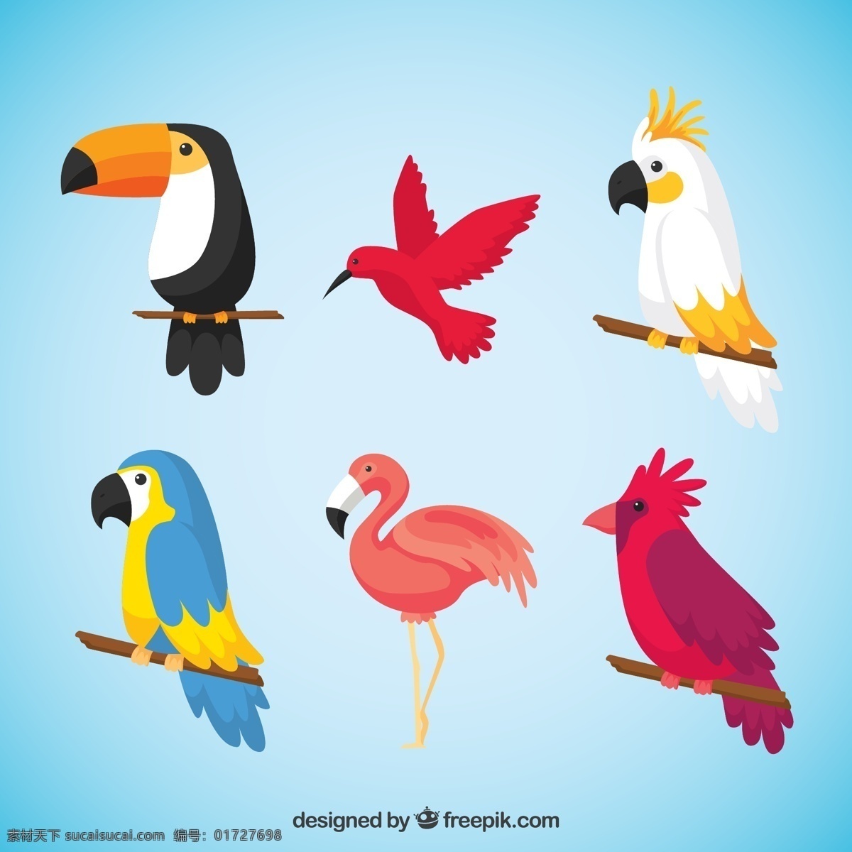 彩色 卡通 鸟类 矢量 啄木鸟 蜂鸟 鹦鹉 火烈鸟 鸟 动物 树干 树枝