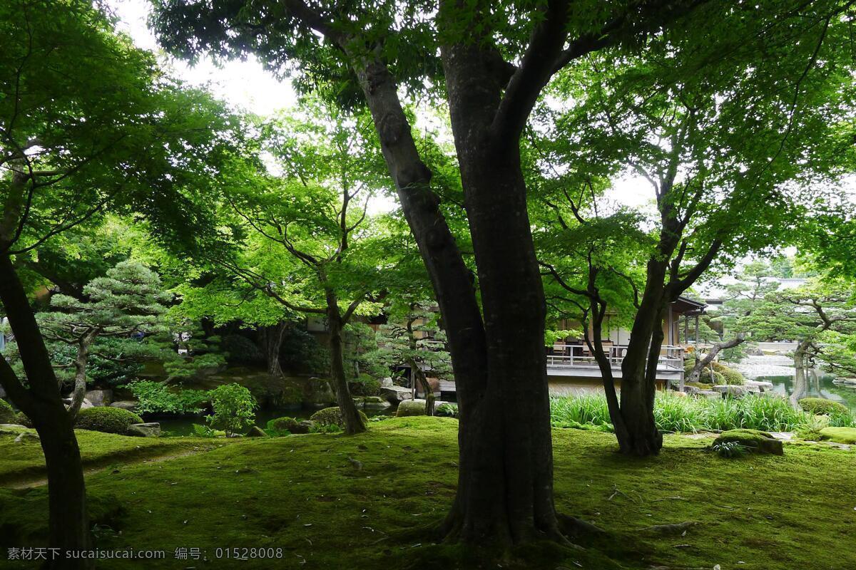 日本 松江 志 园 风景
