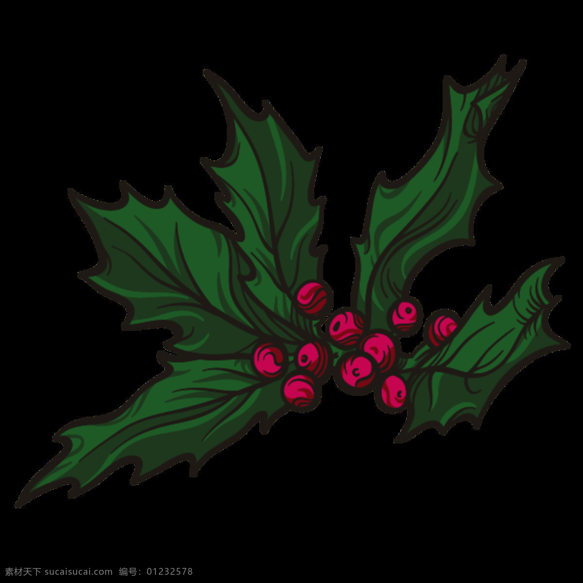 圣诞 果实 透明 花枝 节日 绿色 免扣素材 透明素材 枝叶 植物 装饰图案