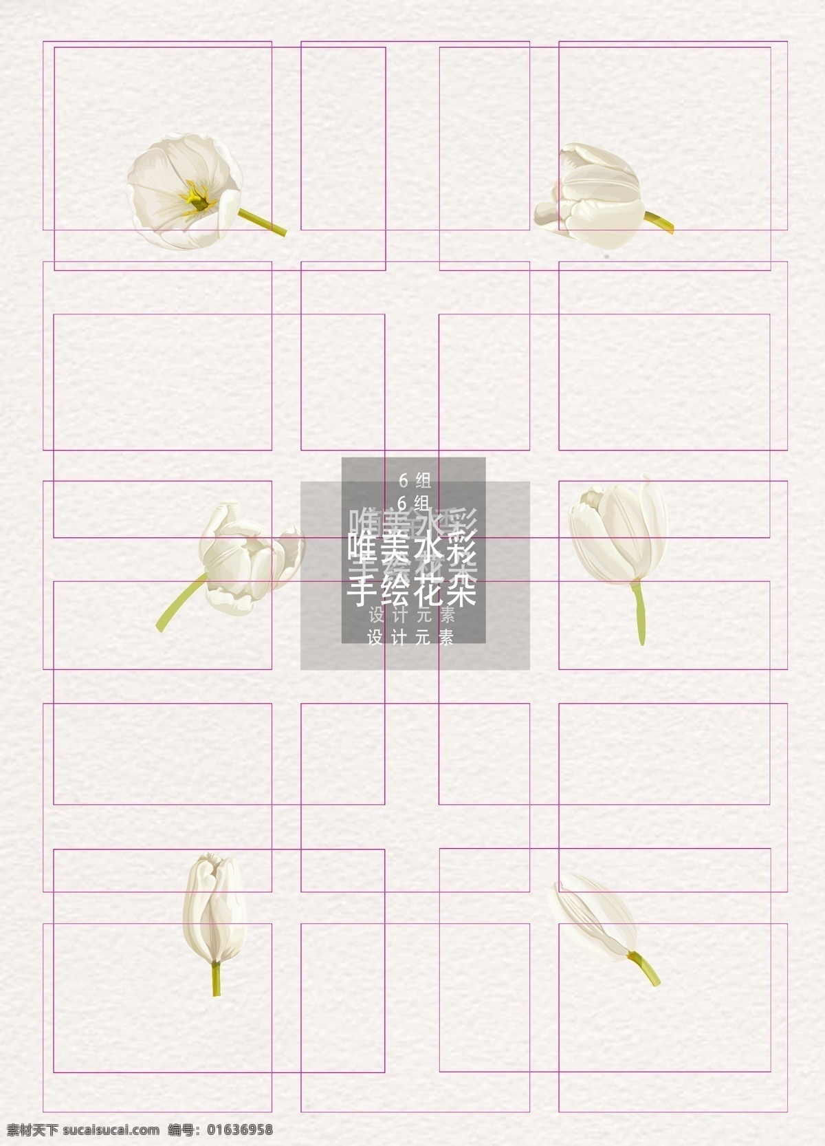 白色 写实 矢量 郁金香 花朵 花卉 设计素材 护士节 护士