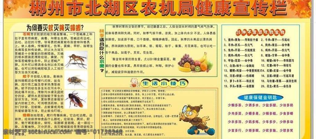 健康 健康教育 宣传栏 健康宣传栏 秋季 生活百科 医疗保健 展板 矢量 四害 展板模板 海报 其他海报设计