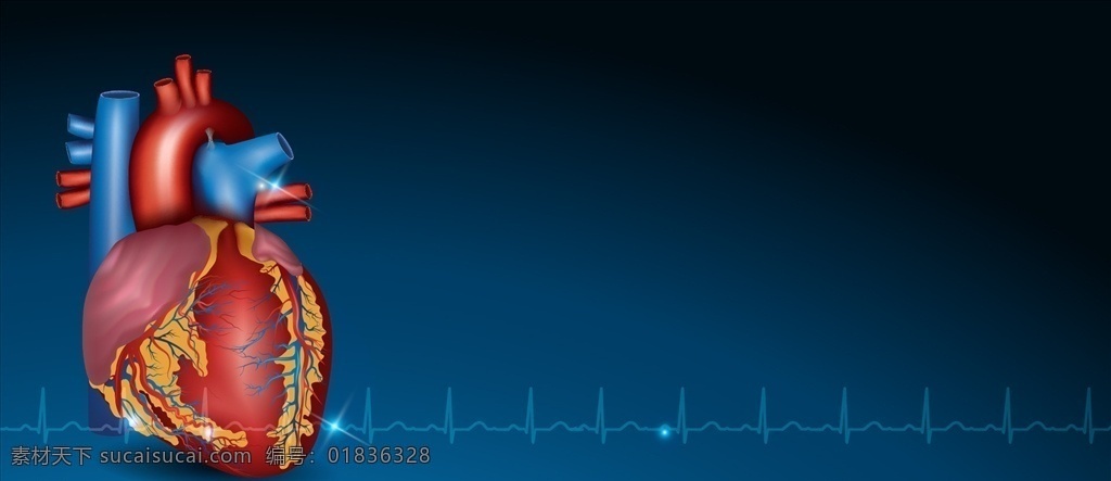 医疗 心脏 蓝色 banner 背景 医疗网站 网站 背景设计 网站广告横幅 宽 屏 集锦 web 界面设计 其他模板