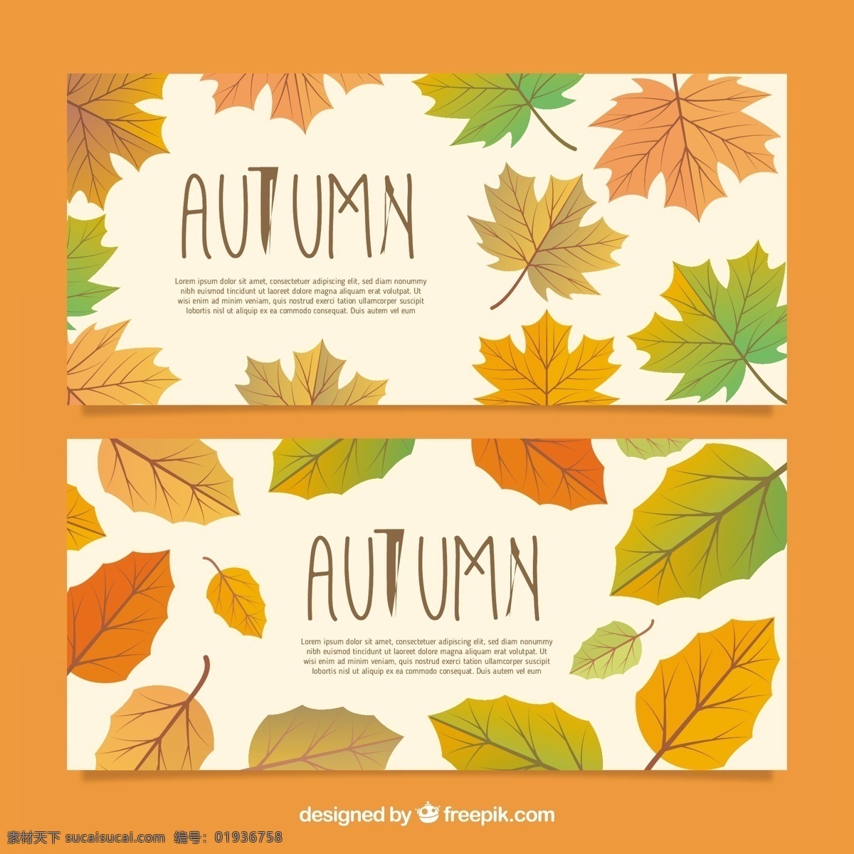 现代 秋天 旗帜 横幅 模板 树叶 自然 可爱 色彩丰富 创意 色彩 棕色 温暖 树枝 秋叶 美丽