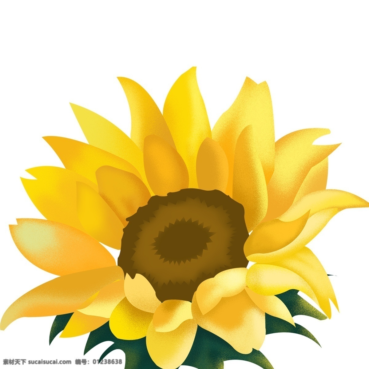 黄色 花朵 向日葵 装饰 植物 卡通 彩色 水彩 创意 手绘 绘画元素 现代 简约 图案