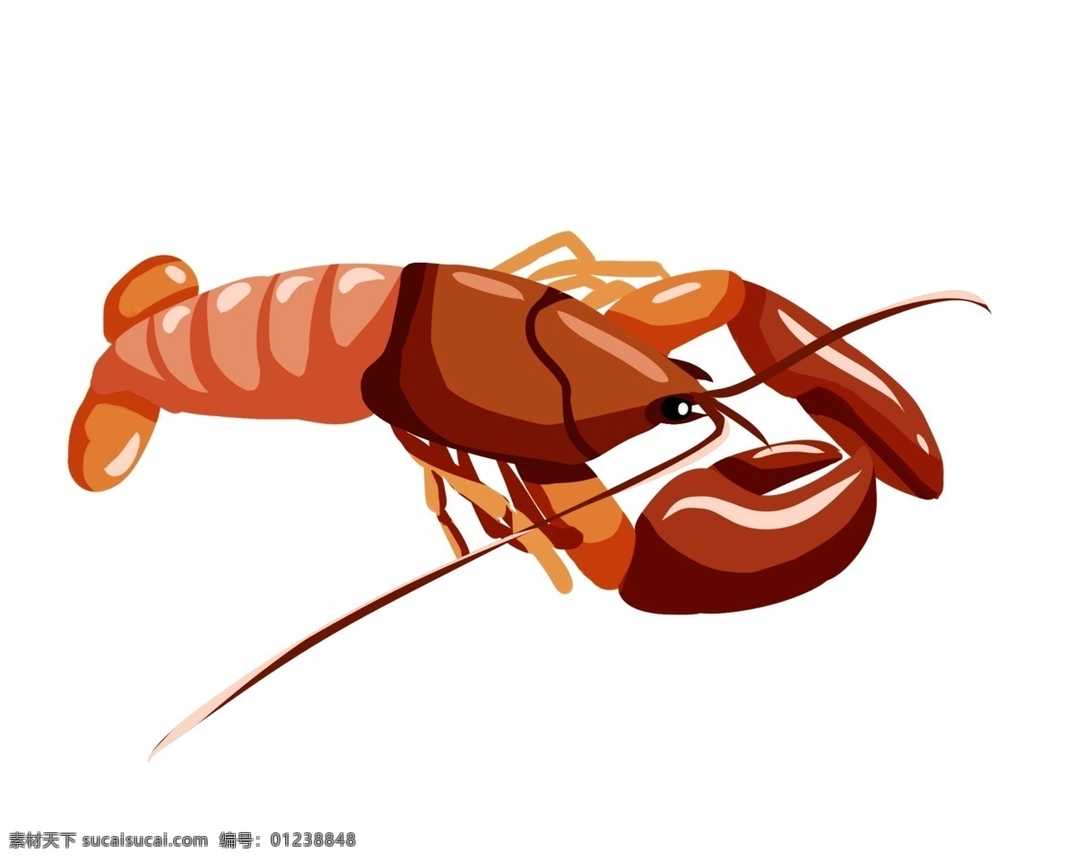 爬行 小 龙虾 插画 爬行的龙虾 卡通插画 龙虾插画 动物插画 淡水龙虾 深海龙虾 深红色的触须