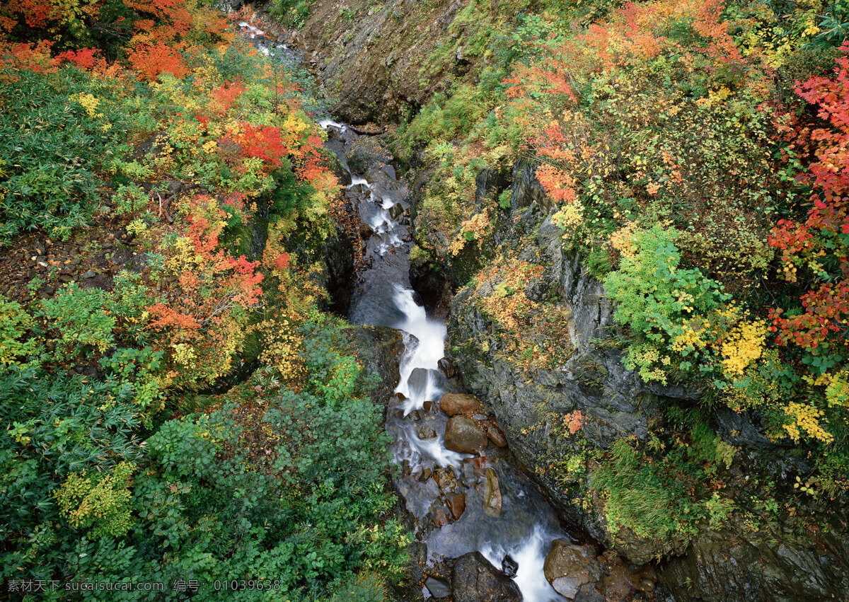 美丽小溪 美丽风景 自然风景 风景摄影 大自然 美景 景色 山水风景 树林 小溪 溪水 自然景观 黑色