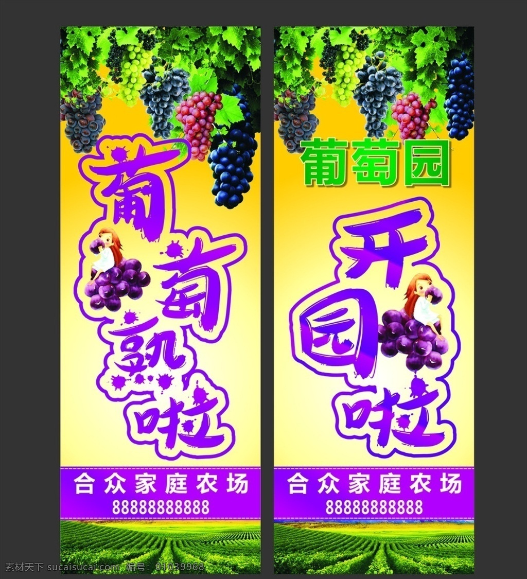 葡萄开园 葡萄 开园 熟 采摘 家庭农场