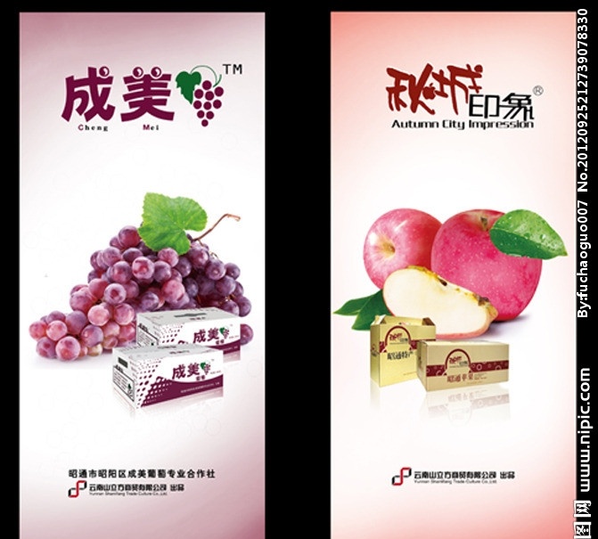 葡萄 苹果海报 葡萄展板 葡萄海报 展板模板 展板设计 绿色展板 水果 水果海报 水果展板 苹果 苹果展板 苹果x展架 易拉宝 广告 苹果广告 葡萄广告 苹果设计 包装盒 包装 红色展板 展板 矢量
