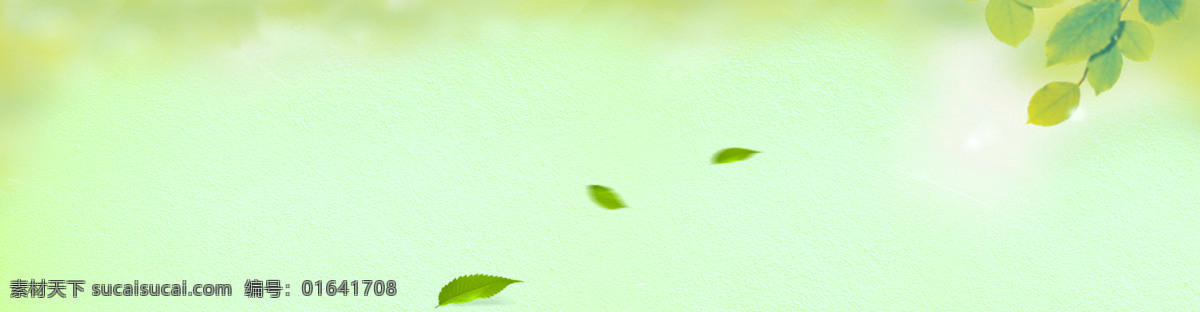 淘宝 电商 春季 夏季 春天 海报 banner 服装 模板 小清新 绿色底纹 树叶