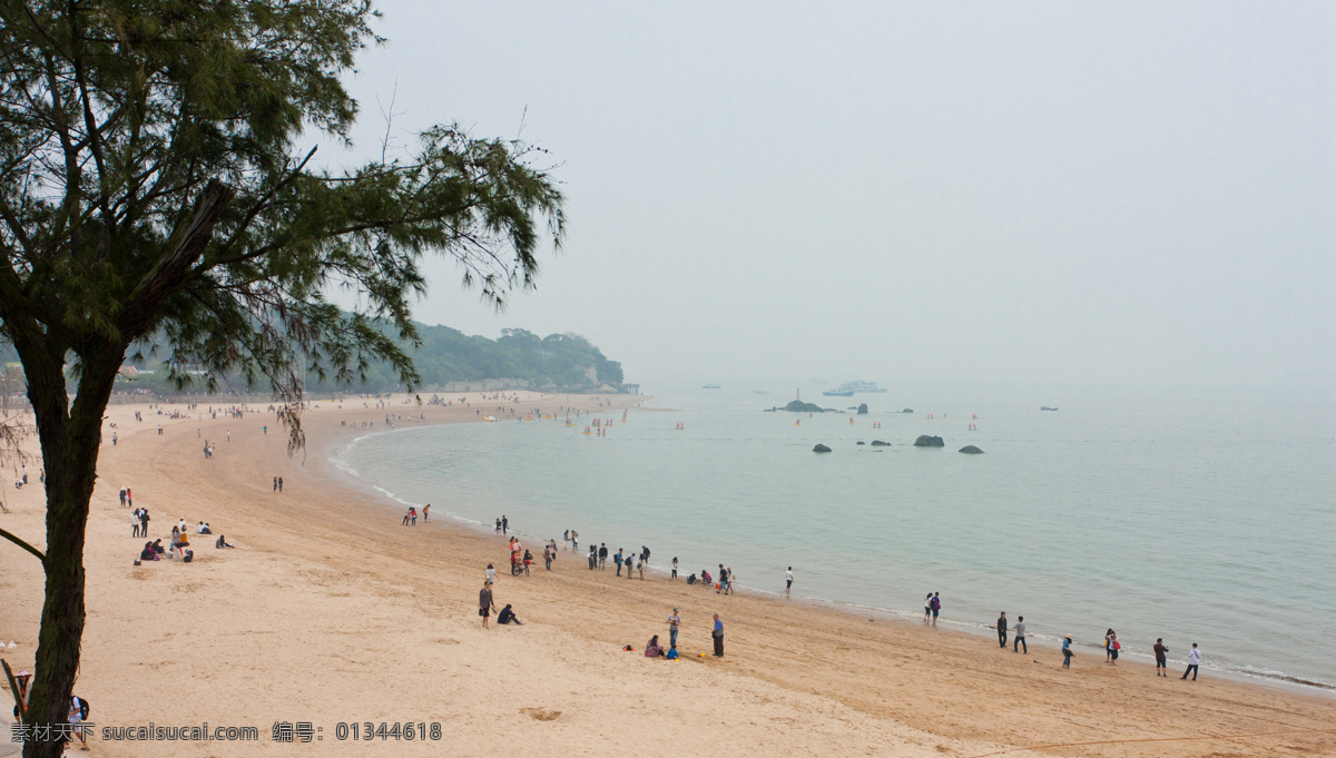 厦门大学 大海 海滩 绿树 自然风景 自然景观 psd源文件