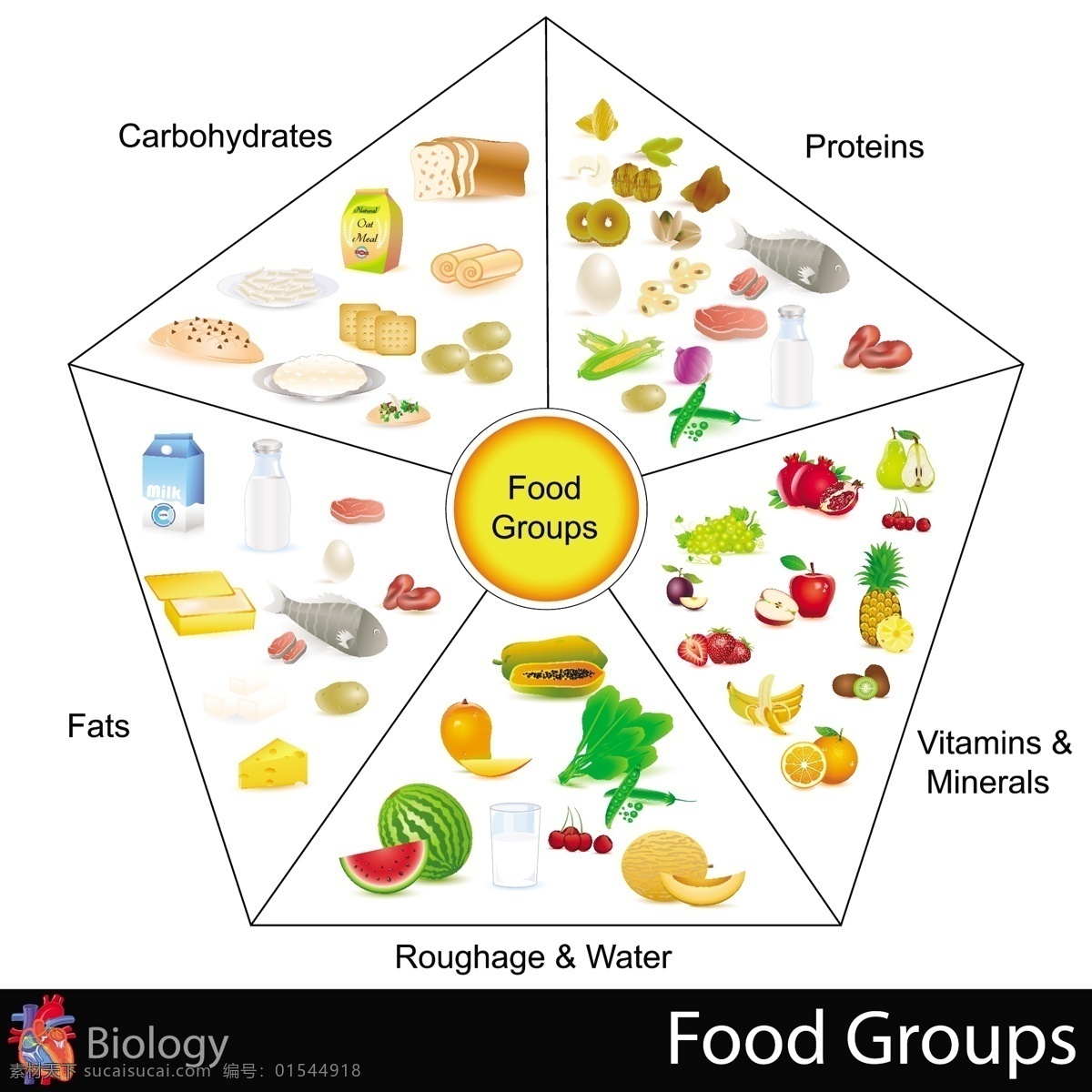 美食 生物世界 食物 蔬菜水果 水果 维生素 营养 矢量 模板下载 蔬菜水果食物 食物份含量 矿物质 营养含量 矢量图 日常生活
