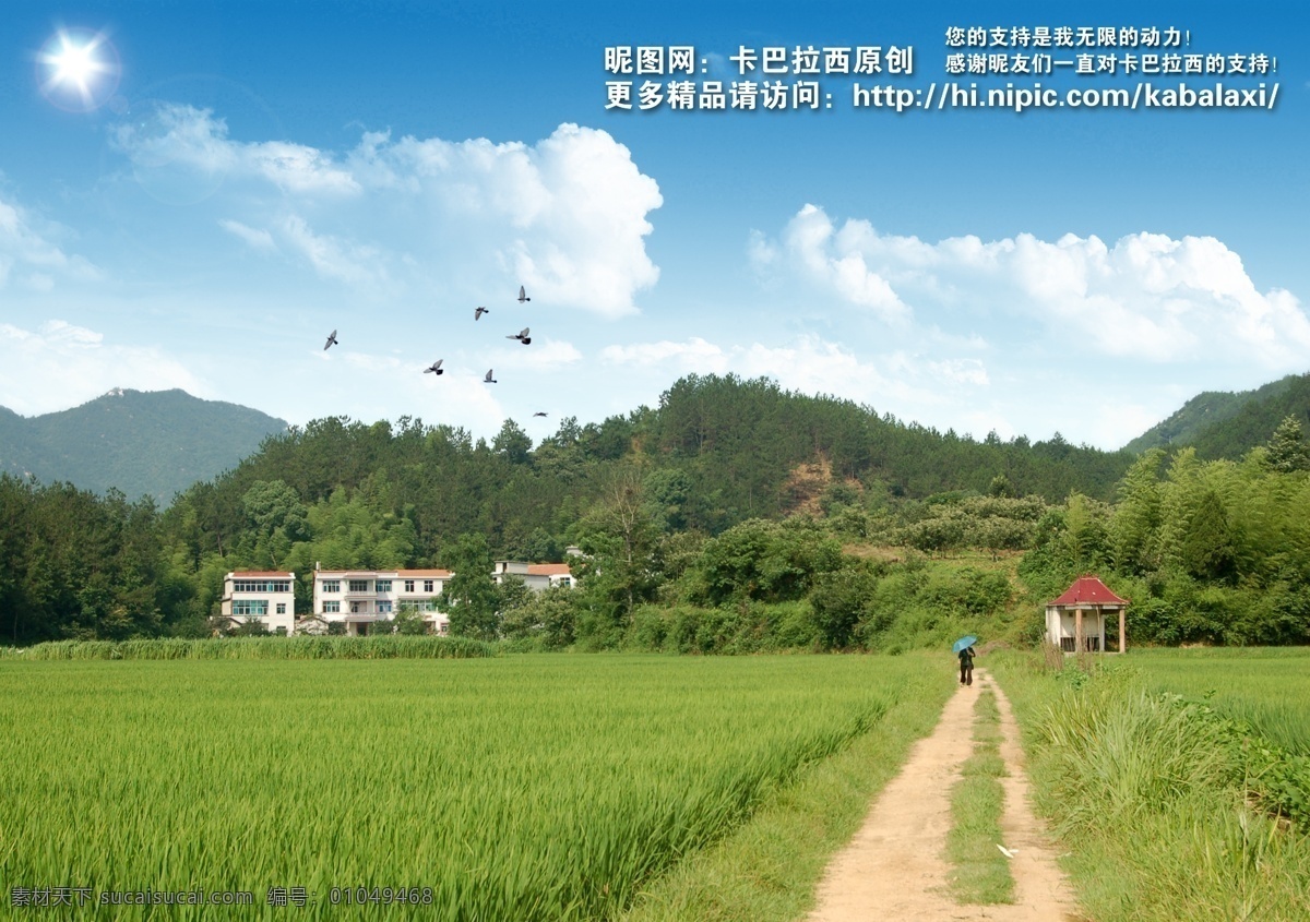 新农村 田野 田园 杨村 稻田 水稻 绿山 小路 山峦 建筑 蓝天 白云 蓝天白云 绿树 农村新貌 田园风光 唯美 农村 草地 绿草地 树木 树林 美丽风景 天空 云彩 光芒万丈 日出 稻子 粮食 农田 希望 上 宁静 干净 清爽 春天 绿色环保 种植园 生态基地 空旷 野外 向日葵 菊花 草原 佛山 南海 小塘 狮山 原创 分层 源文件