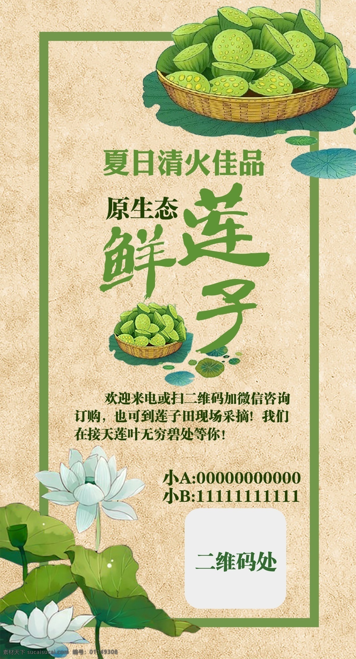 赠送 闺 蜜 莲子 广告 模板 莲蓬 荷花 宣纸背景 白莲 美工画风格 小海报 中国风