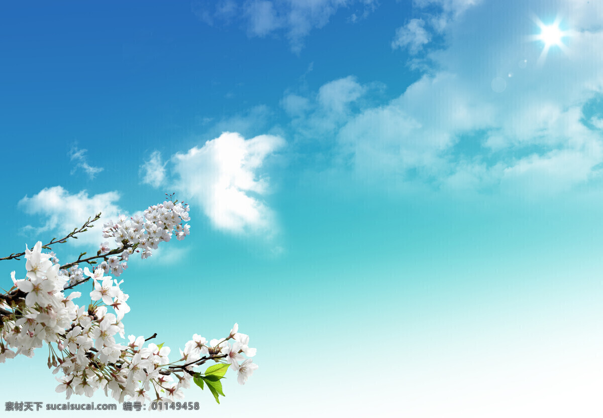 鲜花蓝天 风景 季节 春天 春季 鲜花 桃花 蓝天 清澈 干净 天空 花草树木 生物世界 青色 天蓝色