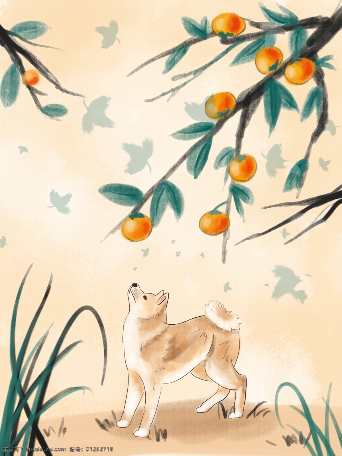 彩墨 柿子 树下 小柴 犬 彩色 插画 绘画 可爱 配图 水墨 柿子树 小柴犬
