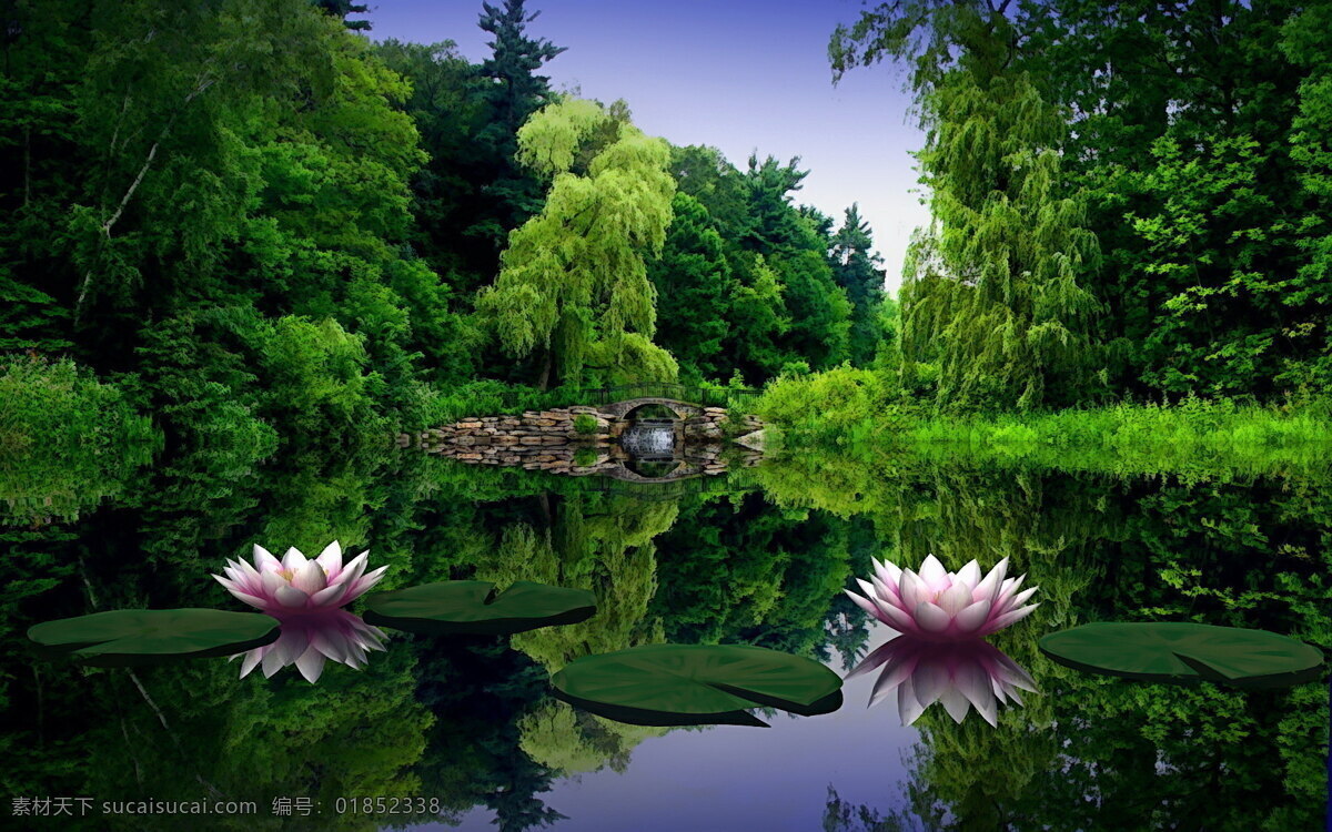 荷花 背景 绿色 树木 背景图片