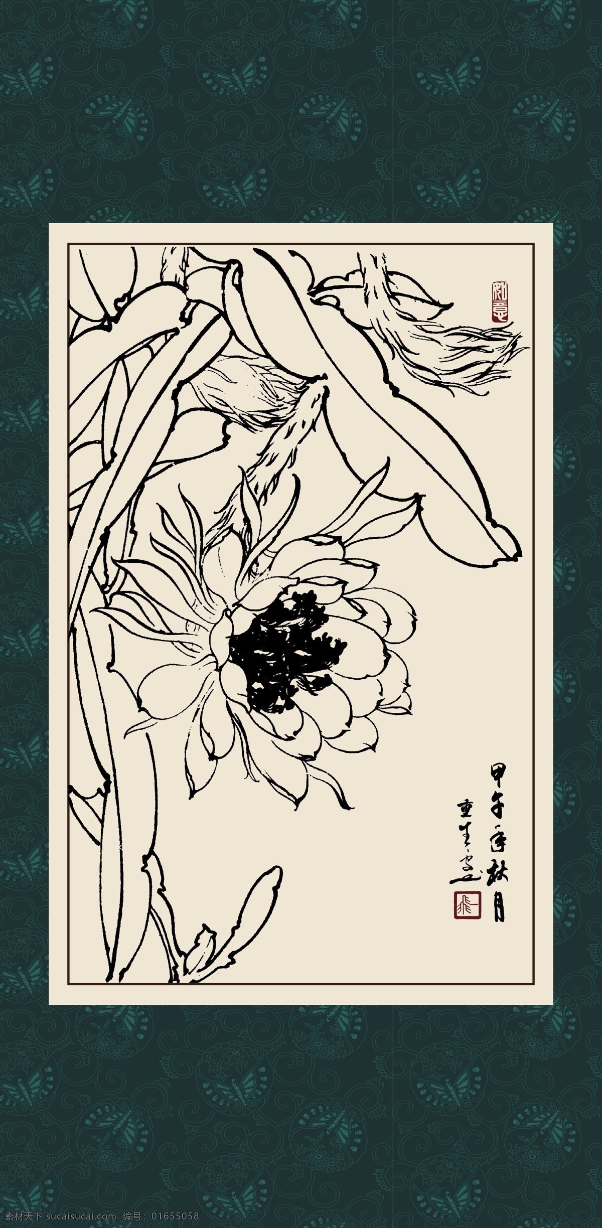 昙花 绘画 白描 线描 手绘 国画 毛笔画 工笔 轮廓 印章 书法 装裱 植物 花卉 花草 花鸟 昆虫 白描花卉 文化艺术 绘画书法