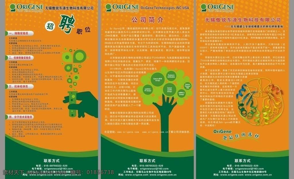 傲 锐 东源 招聘 简介 公司简介 生物科技 展板素材 logo 矢量 其他展板设计