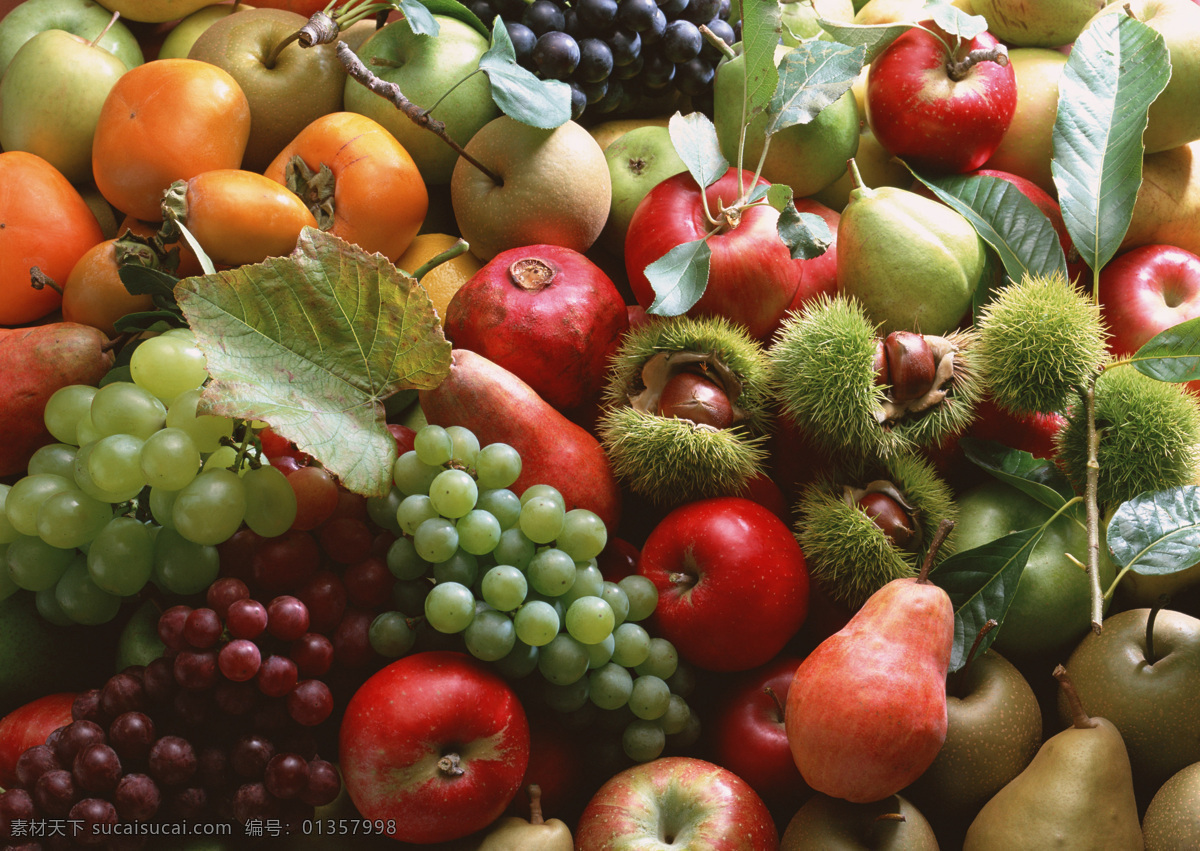 水果免费下载 梨 苹果 葡萄 摄影图 生物世界 柿子 水果