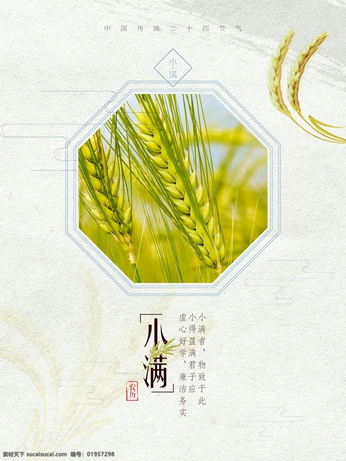 二十四节气 小满 节气 海报 清新 手绘 小麦 中国传统 简约 麦子 小满海报 小满介绍 小满展板 小满配图 青黄交接