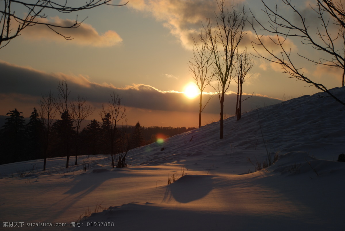 黄昏 夕阳 枯树 荒野 黄昏雪景 旅游摄影 国内旅游