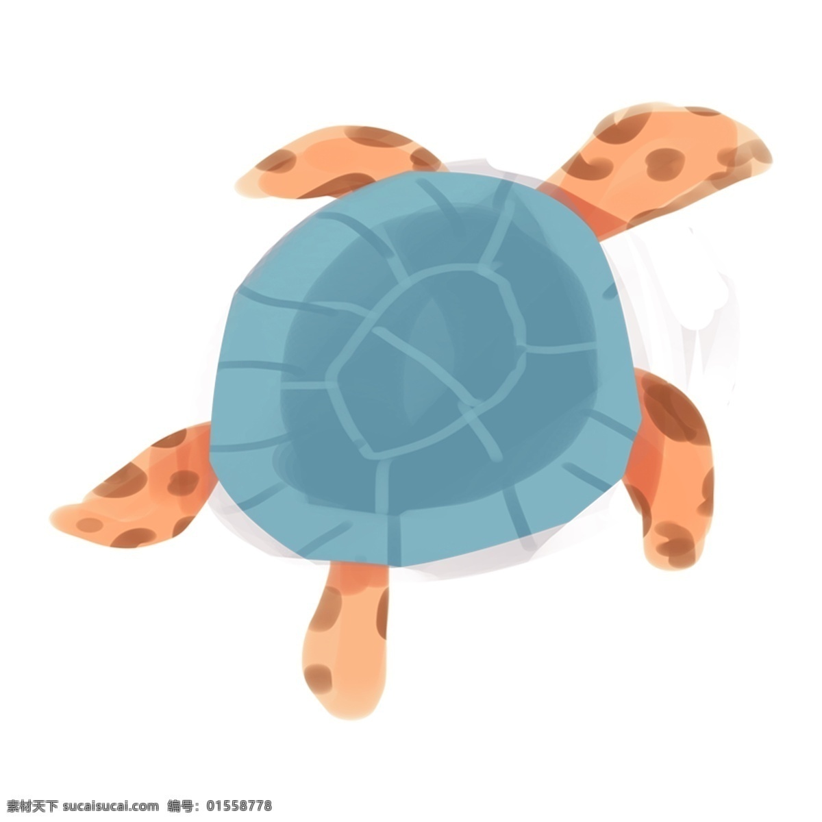 手绘 卡通 小 乌龟 元素 小乌龟 卡通元素 透明素材 装饰图案 动物 蓝色