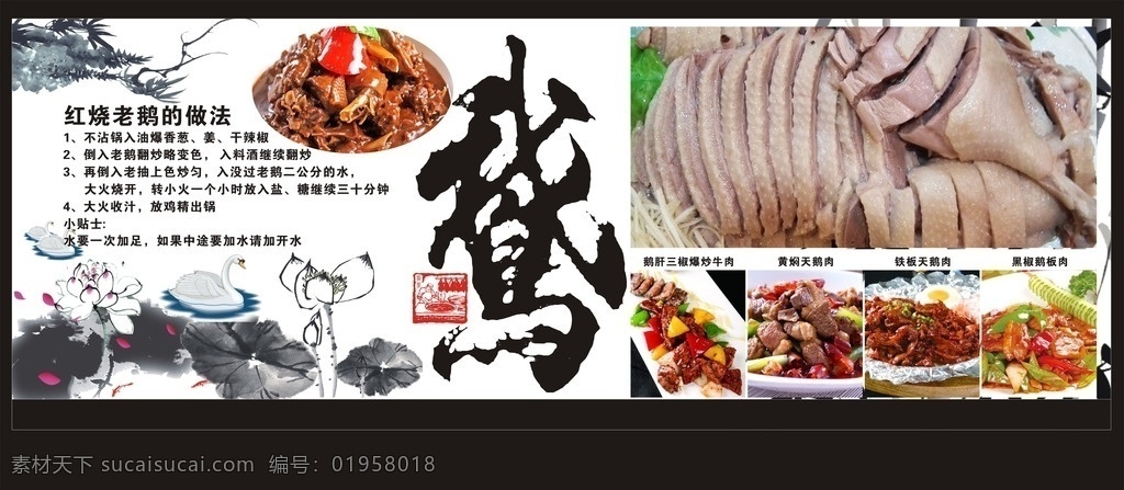 鹅 鹅肉 荷花 鹅肉做法 红烧鹅肉 铁板烧鹅 鹅宣传吊牌 展板 生物世界 鸟类