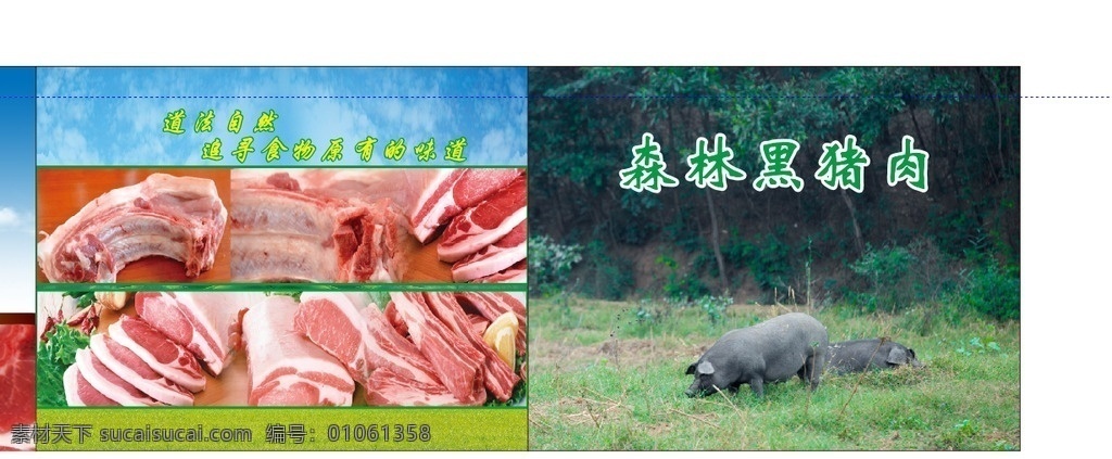 黑猪肉 生态 健康 美味 黑猪 新鲜猪肉 dm宣传单