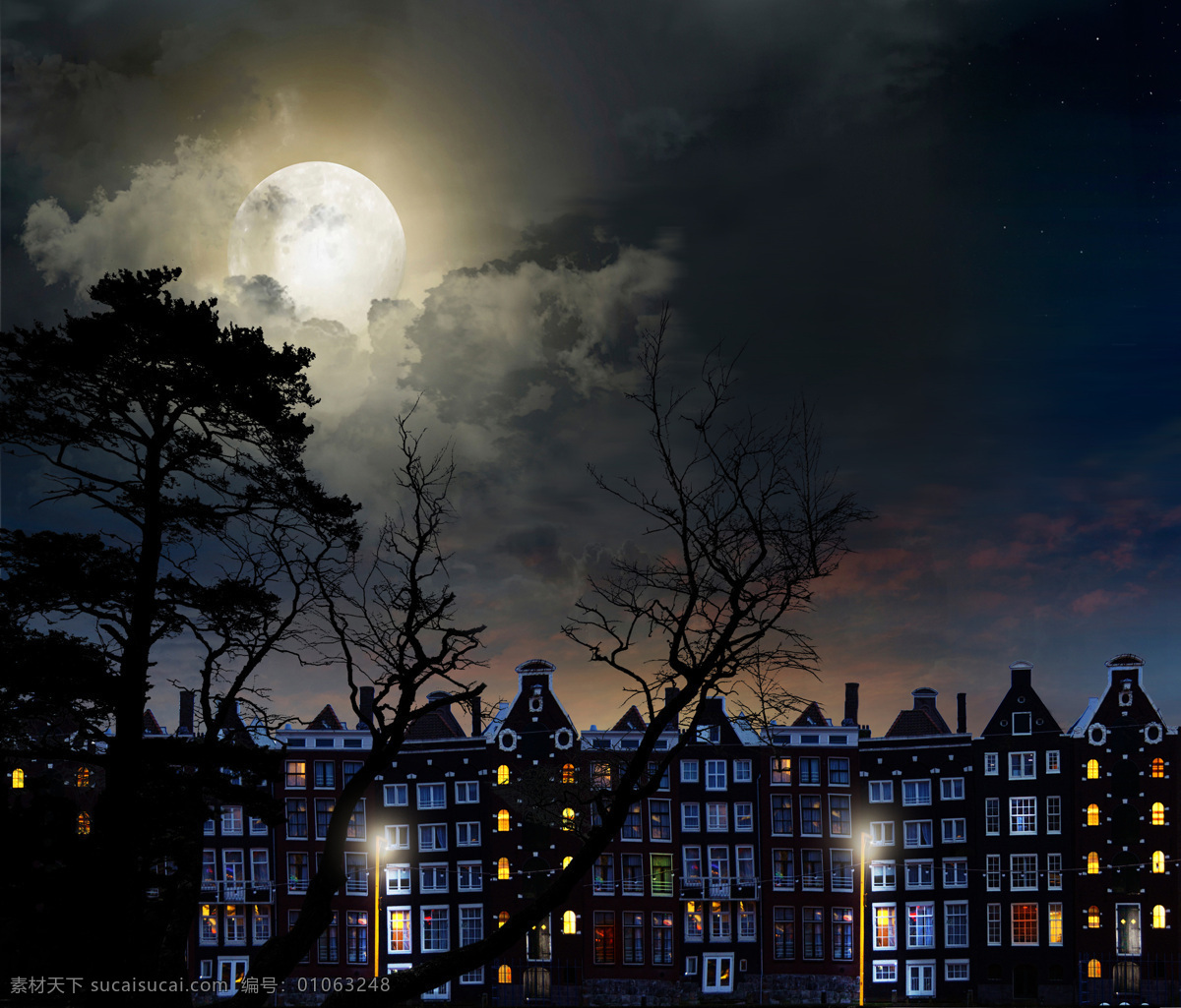 夜晚 下 城市 美景 月亮 树木 建筑 灯光 风景 山水风景 风景图片