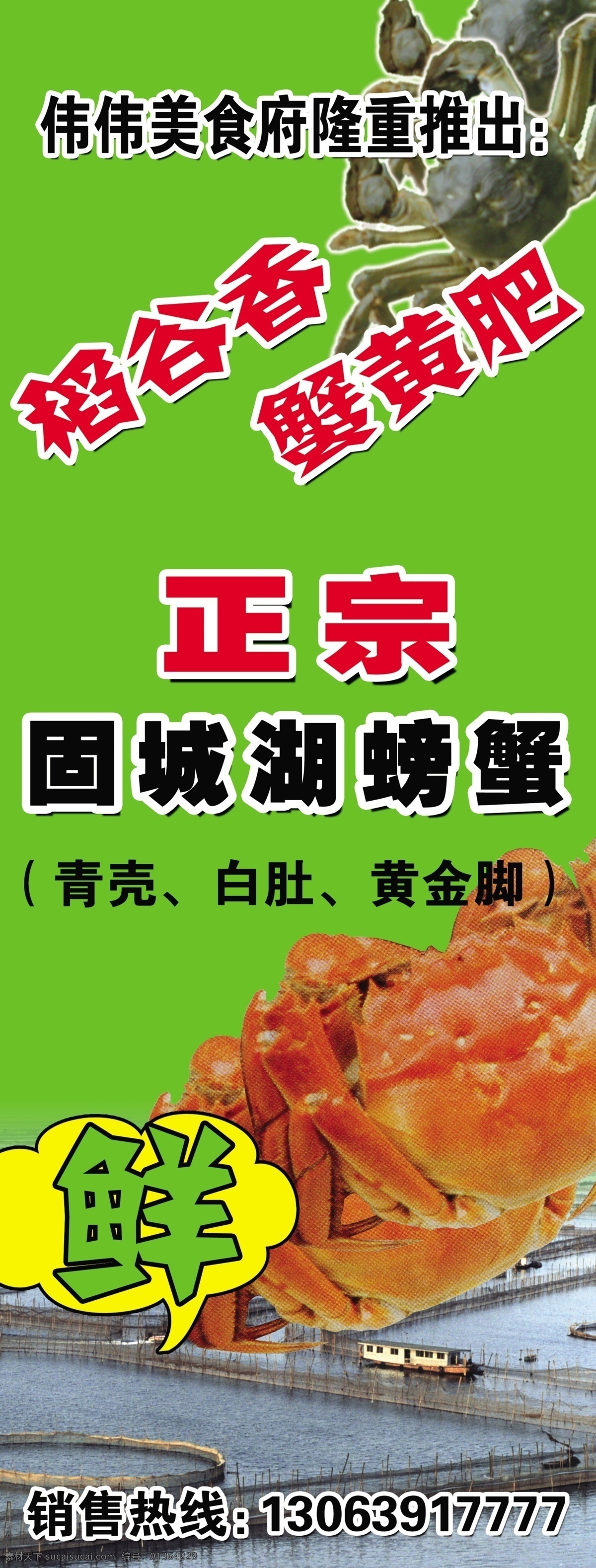 分层 x展架 x 展架 模板下载 绿色底纹 源文件 固城湖螃蟹 蟹黄 长荡湖 青蟹 展板 x展板设计