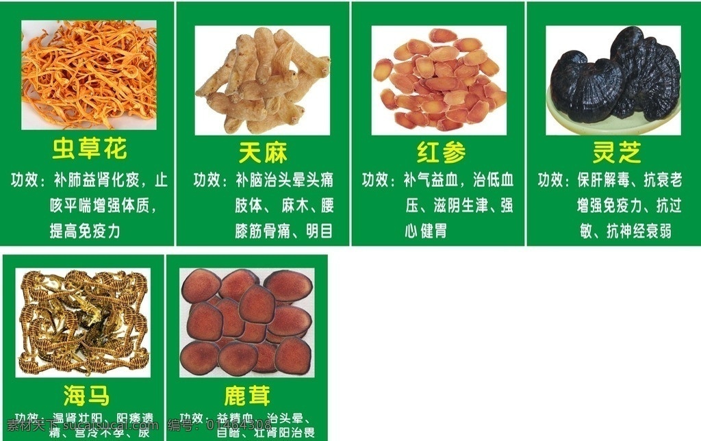 嘉伦光彩 药房 药店广告 嘉宝华 济世药王 济生医药 虫草花 天麻 红参 灵芝 海马 鹿茸 药 健康药房 中药 草药 中草药 矢量