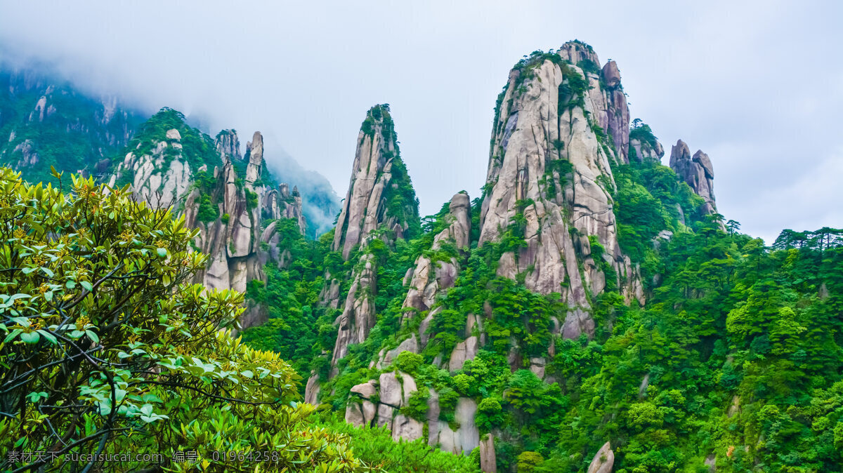 三清山 美景 美图 三清山美景 仙境美景 清秀的山峰 延绵山脉 山川美景 壮美山河 青山绿水 一览众山小 山峰 山顶 山清水秀 美丽的山川 秀美山川 名山大川 风景名胜区 美景摄影摄影 自然景观 山水风景