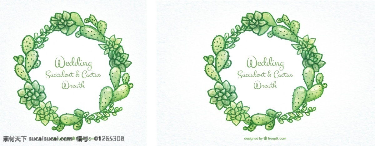 手绘 婚礼 汁 仙人掌 花圈 婚纱 花 手 自然 绿色 叶 漆 平 园 植物 墨西哥 热带 装饰 平面设计 环境 白色