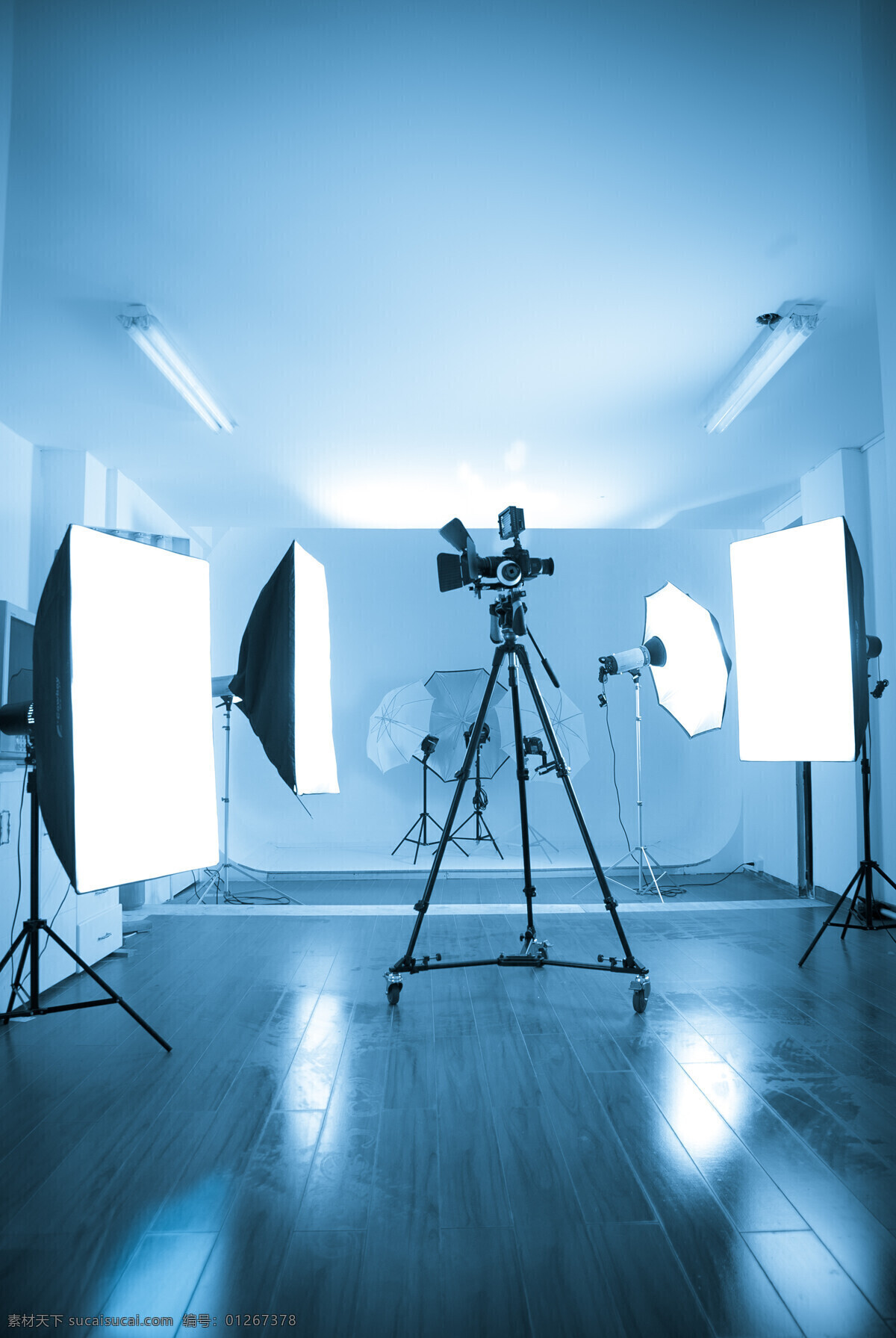 工作室 单反相机 摄影灯 摄影器材 摄影工作室 商务人士 人物图片
