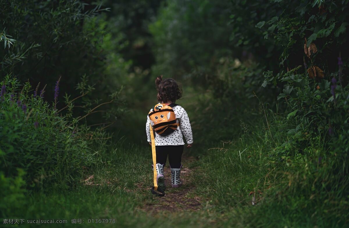 小女孩 背影 儿童 幼童 小姑娘 幼儿 步行 森林 树木 路径 独自 通路 宝宝 植物 行人路 冒险 探险 人物 人物图库 儿童幼儿