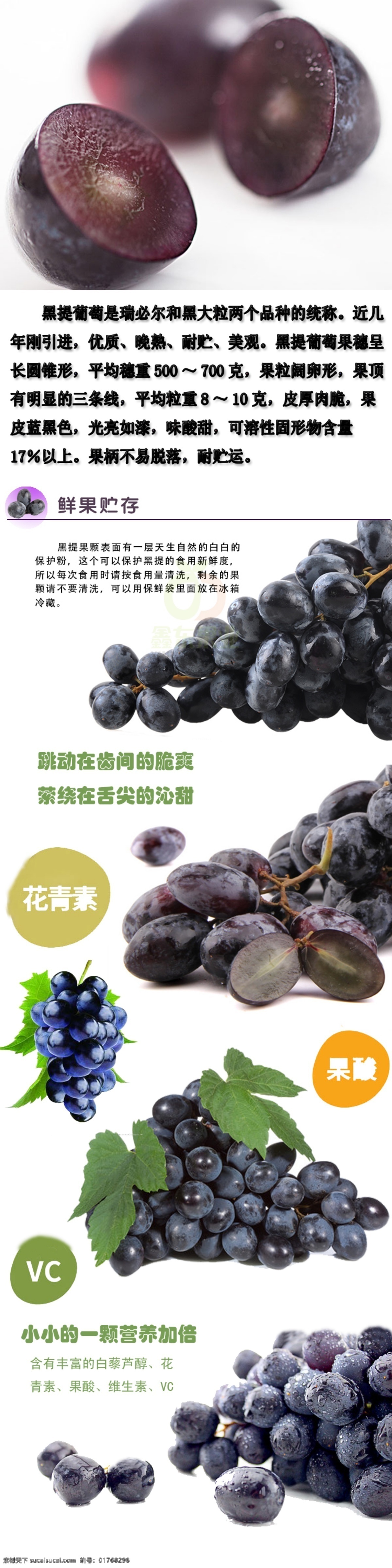 黑提葡萄 素材装修 黑提 葡萄 宣传海报 详细介绍 黑提的营养 白色