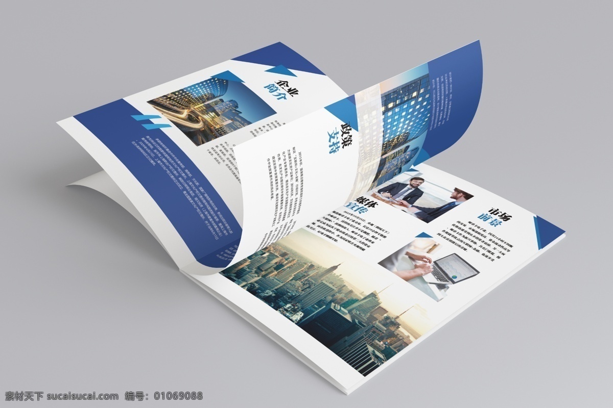 画册效果图 画册 书本 书本效果图 宣传册 宣传册效果图 画册设计