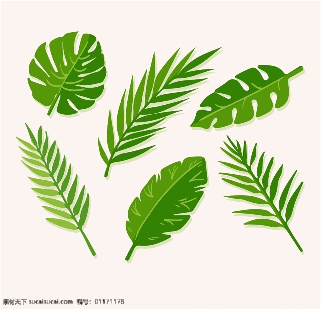 款 绿色 棕榈 树叶 矢量 6款绿色树叶 树叶矢量素材 矢量素材 夏季树叶 绿叶矢量