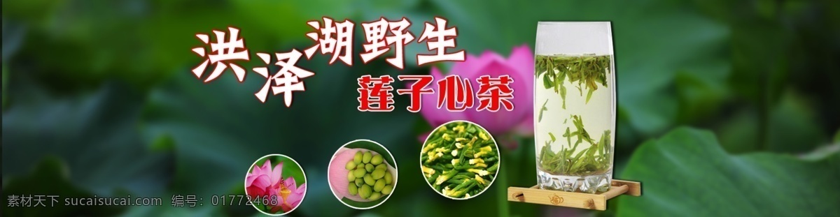 洪泽湖 野生 莲子 心 茶 莲子心茶 淘宝素材 淘宝促销海报