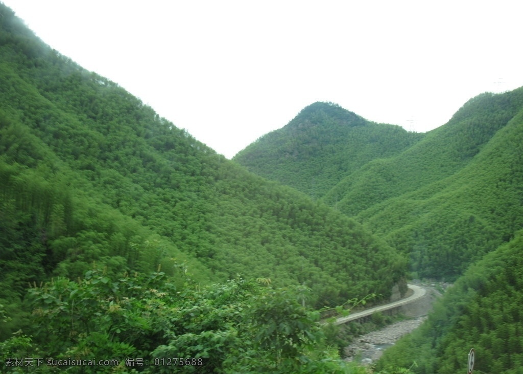 安吉 竹山 旅游风景 图 非 高清 竹林 绿山 山峦 绿竹 自然风景 自然景观