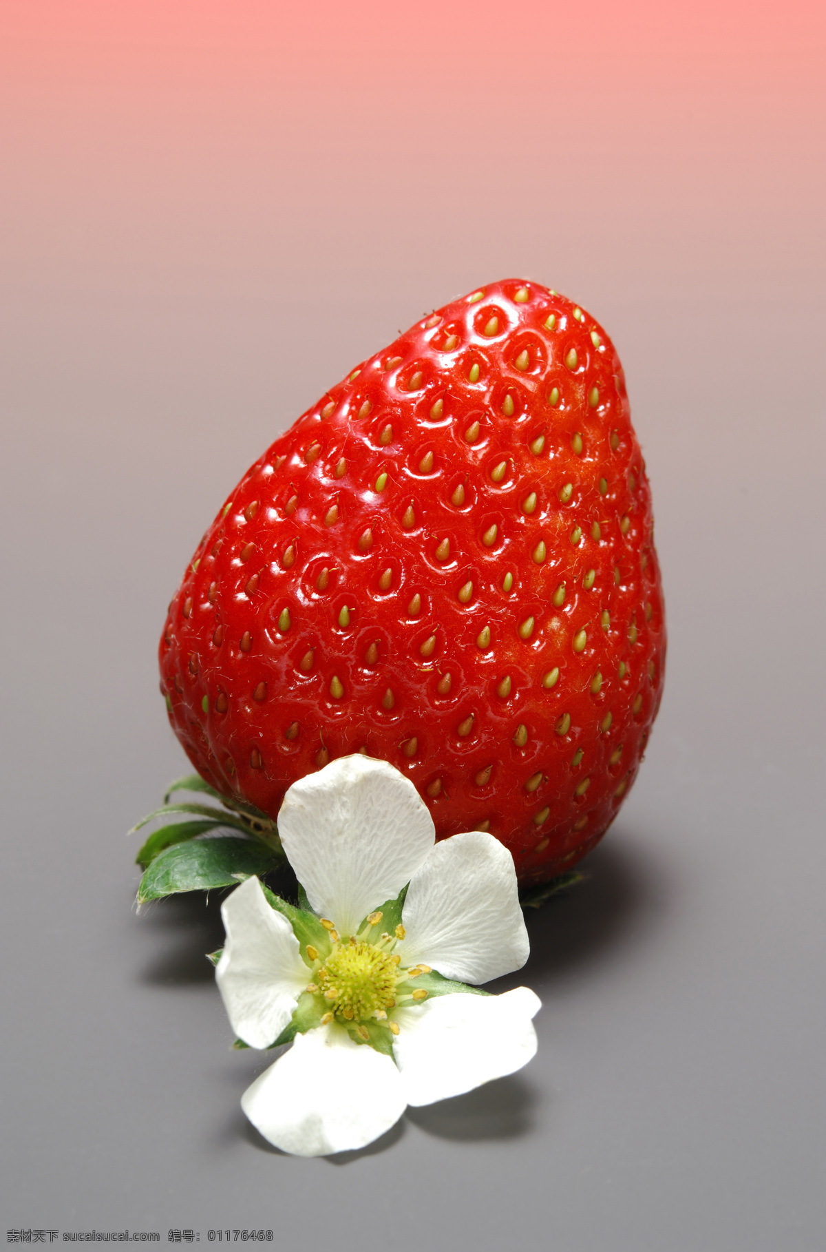 草莓 新鲜草莓 红色草莓 草莓花 健康果实 绿色水果 可口的草莓 有机食品 有机水果 新鲜水果 草莓高清图片 摄影素材 水果 水果蔬菜 美食文化 餐饮美食 灰色