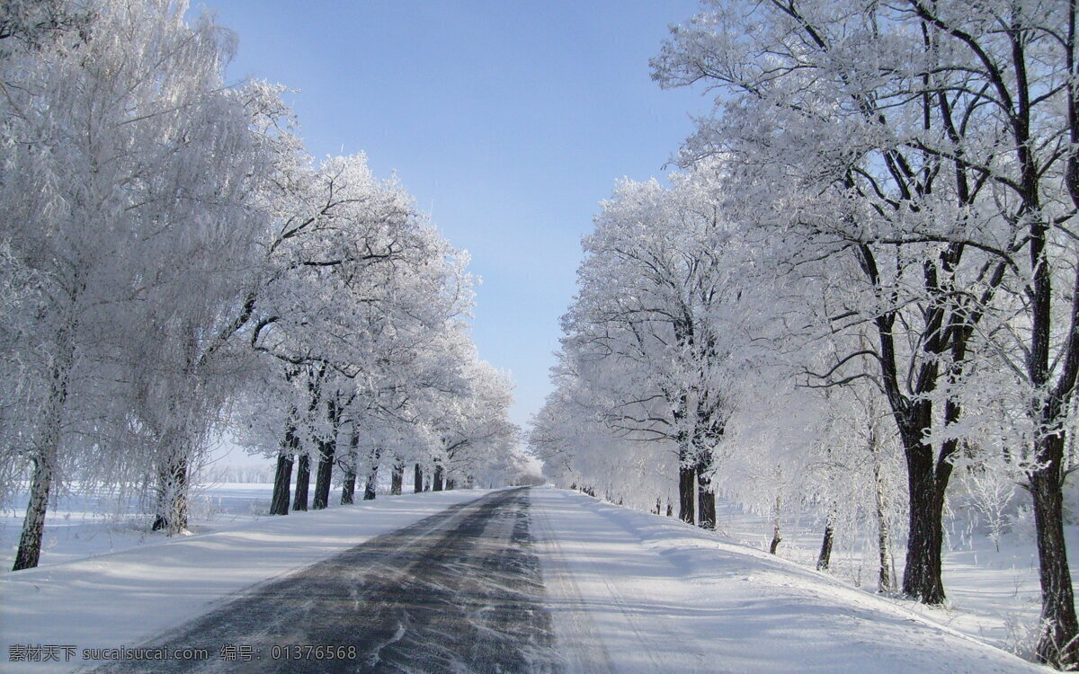 一路冰树 冰树 雪树 雪地 公路 蓝天 道路 美景 银白 白色 树排 自然风景 旅游摄影