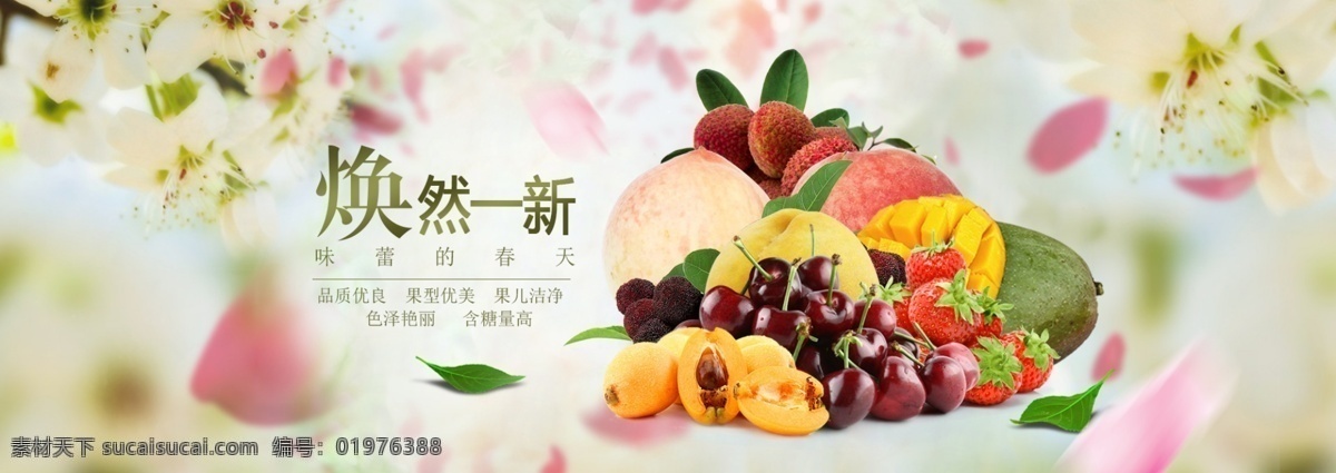水果图片 水果 水果海报 水果店 水果超市 水果展板 水果广告 水果促销 水果拼盘 蔬菜水果 水果背景 水果沙拉 水果图 水果年历 新鲜水果 水果蛋糕 水果挂历 水果宣传 进口水果 热带水果 水果节 创意水果 水果摊 水果日历 水果画册 水果素材 水果创意 水果设计 水果台历 水果文化