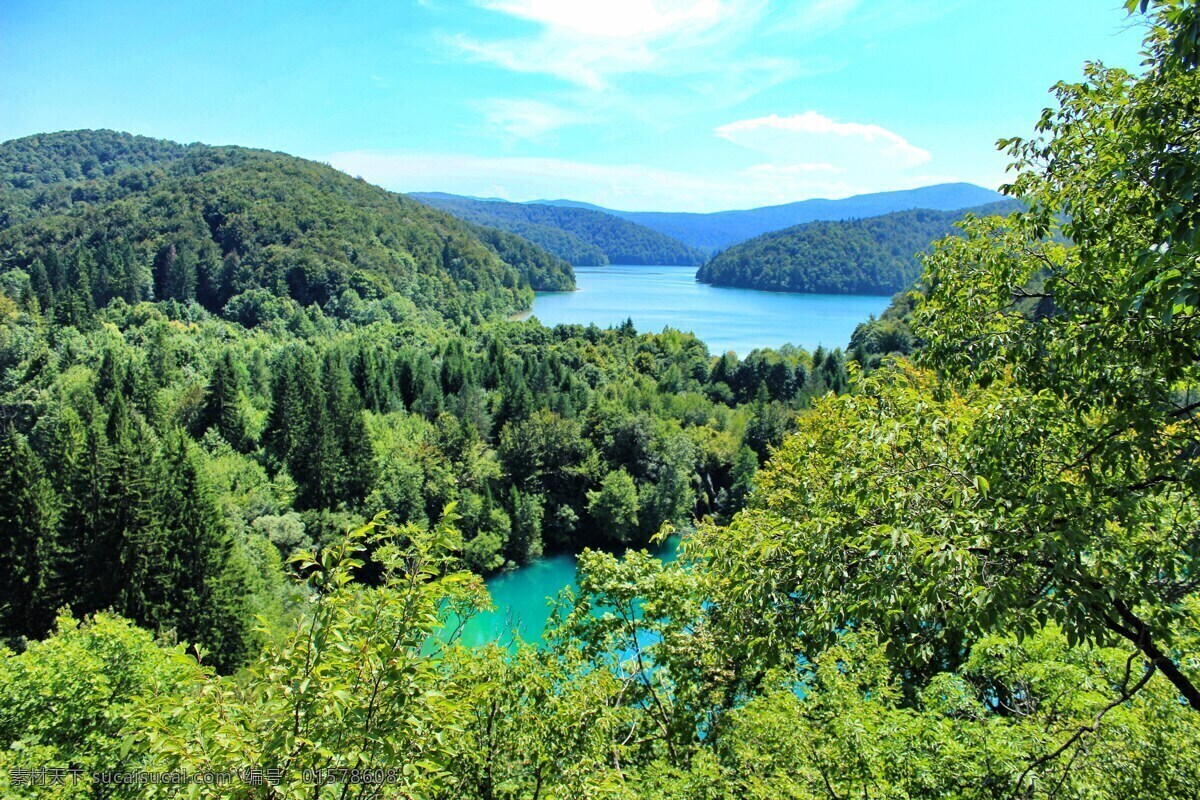 森林湖景 湖 森林 树木 大自然 绿树森林 森林湖水 美丽的湖 风景 湖景山色 自然 绿色 蓝天白云 天空 蓝天 白云 竹林 竹子 自然景观 山水风景