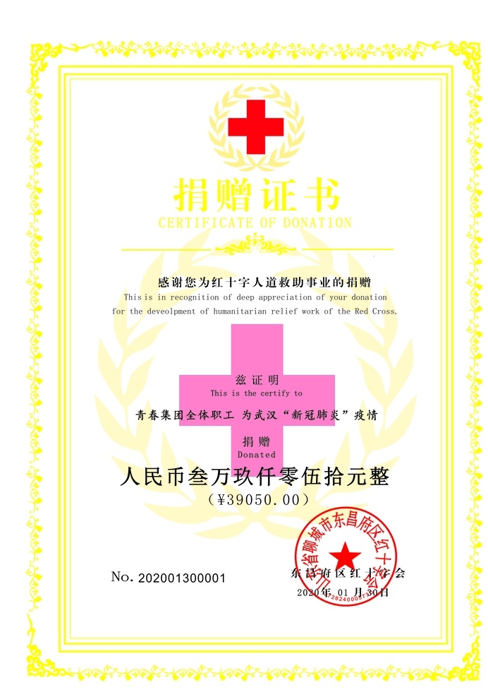 红十字会 捐赠 证书 捐赠证书 资质证书 捐款