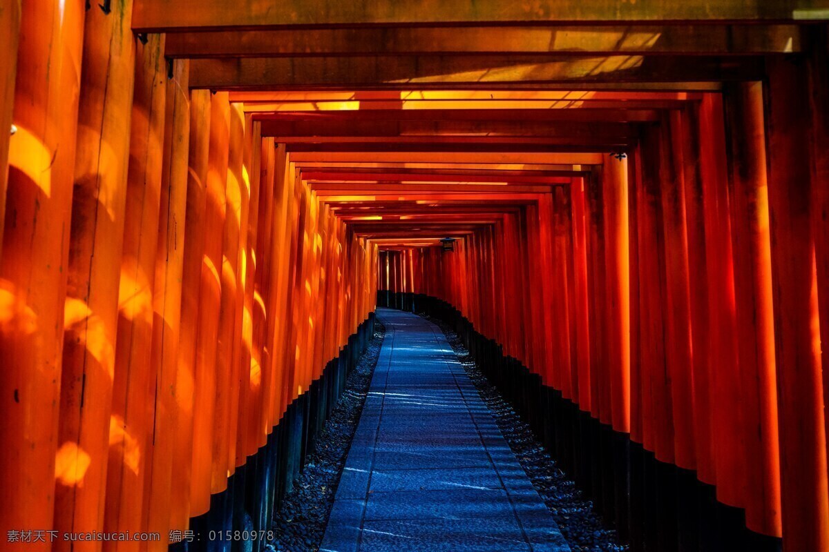 日本图片 日本 寺 结构 隧道 走廊 在室内 通道 光 门 宗教 走道 夜 旅行 门口 教 建筑 自然景观 建筑景观