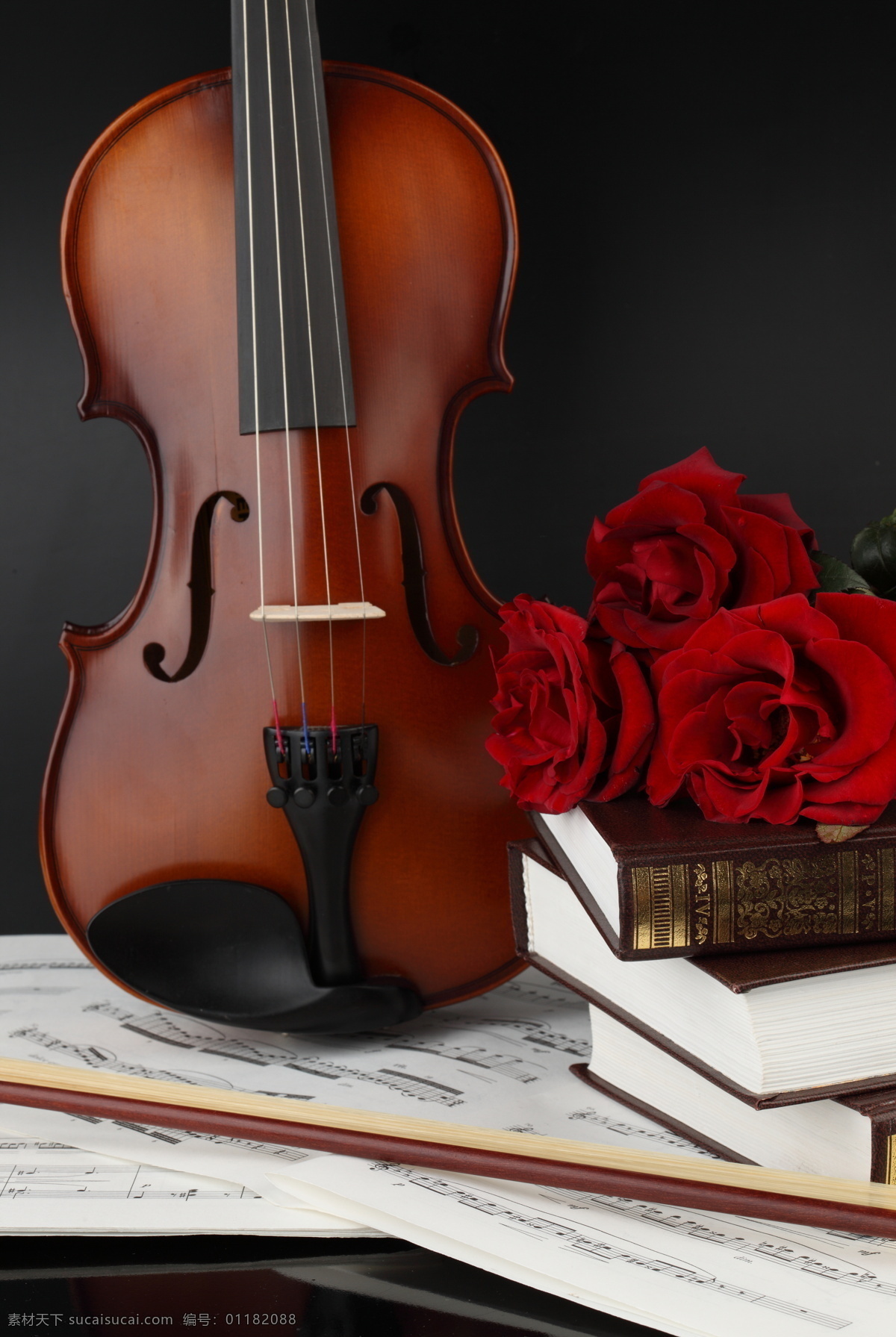 小提琴 玫瑰花 音乐 鲜花 花朵 乐器 乐谱 书本 红玫瑰 影音娱乐 生活百科 黑色